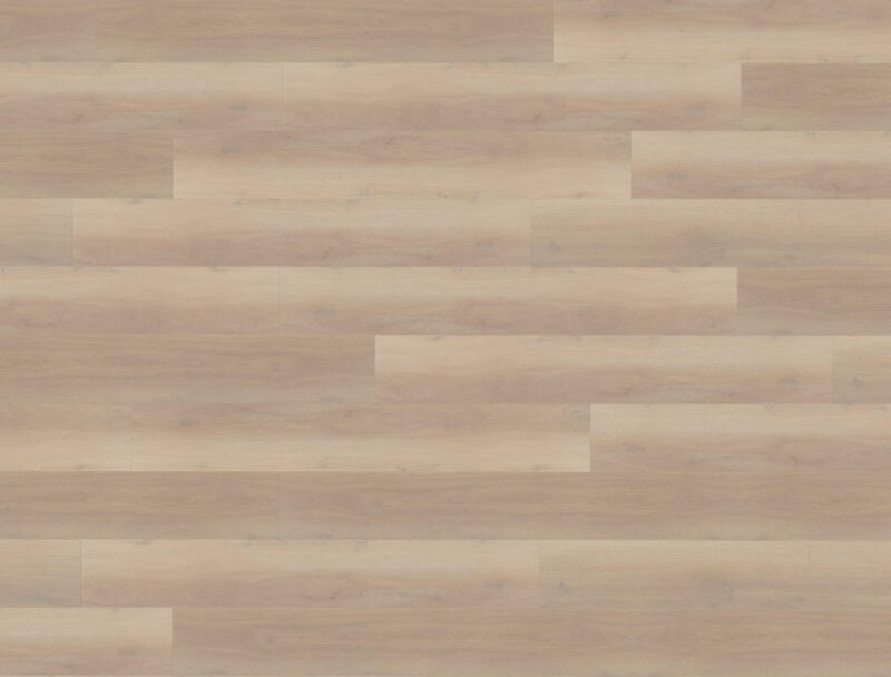 Floor Forever Dub Electra - Image 2