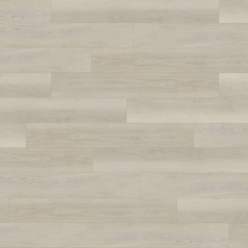 Floor Forever Dub Polaris