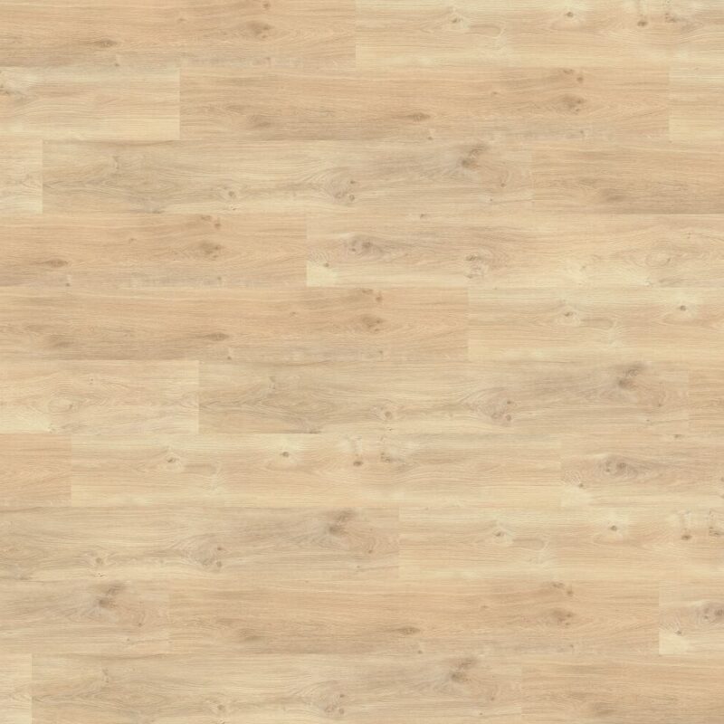 Floor Forever 79998 Dub Neutral