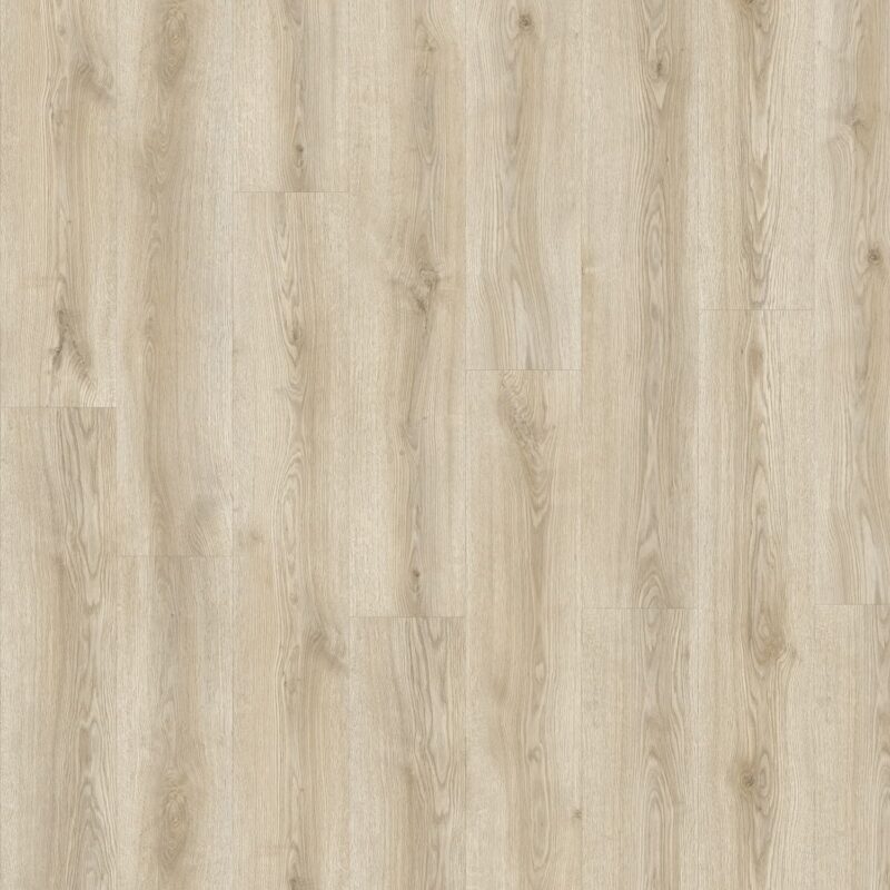 Floor Forever 84224 Dub  Zeus - Image 2