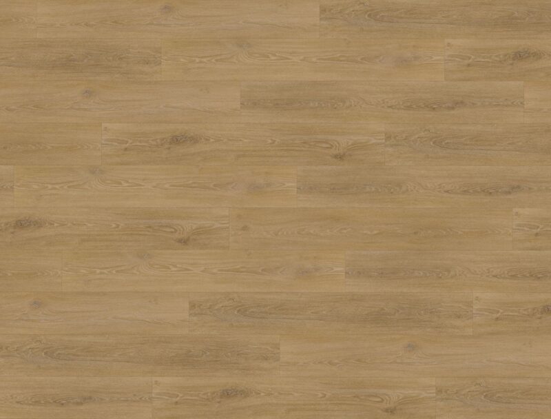 Floor Forever Dub medový - Image 2