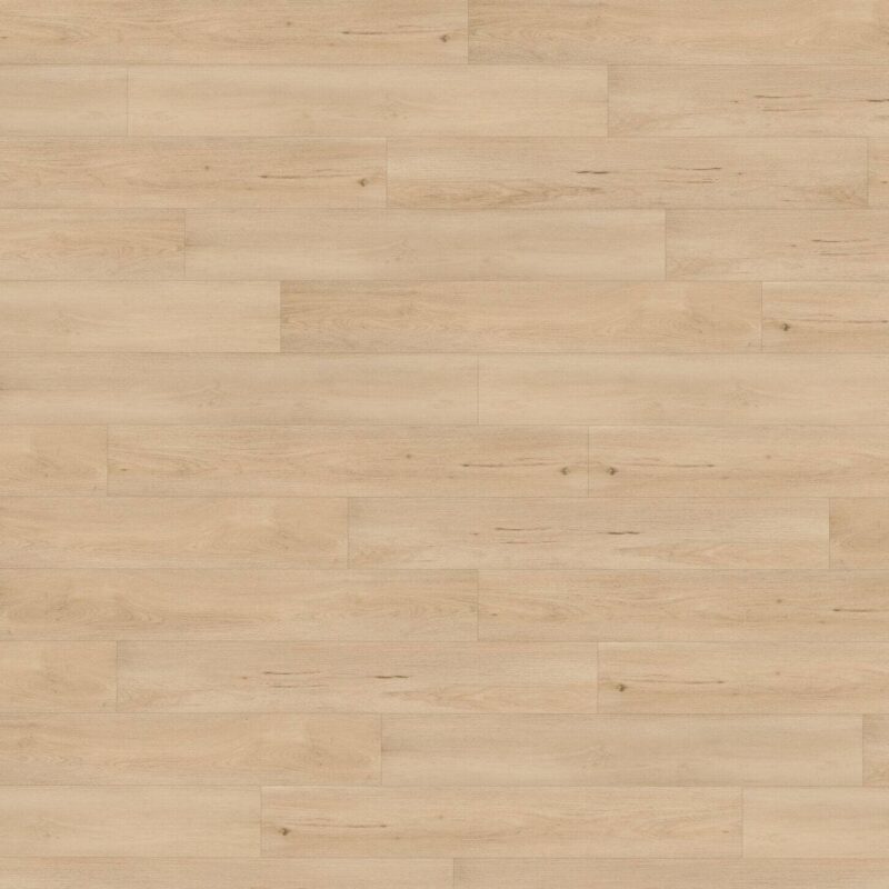 Floor Forever 9951 Dub Pískový