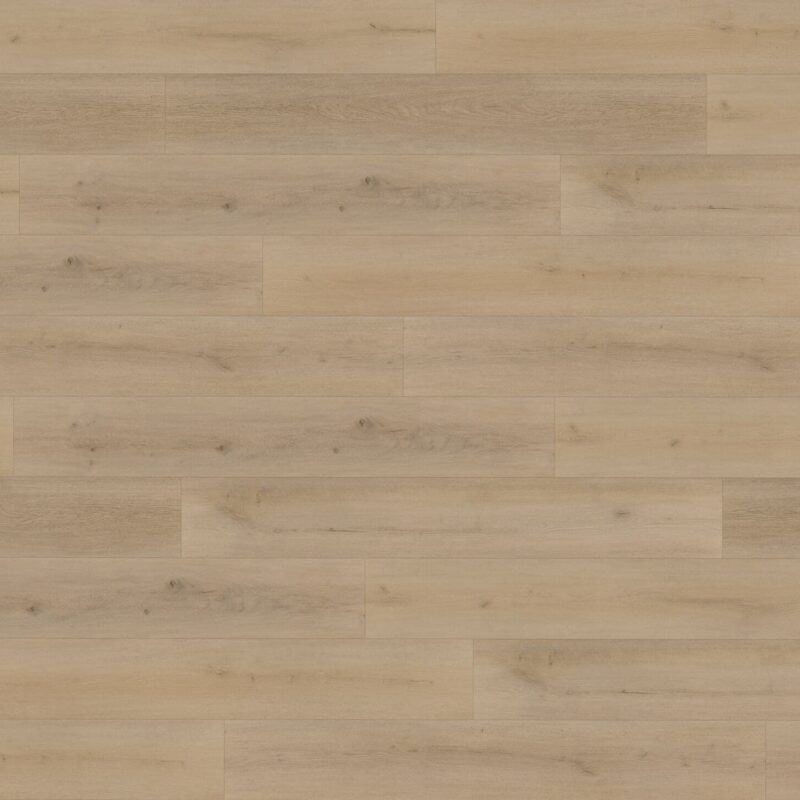 Floor Forever Dub evropský