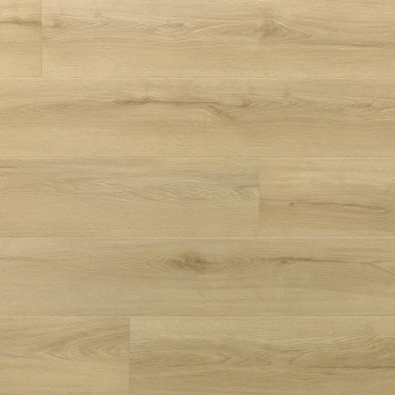 Floor Forever Dub Ben Nevis
