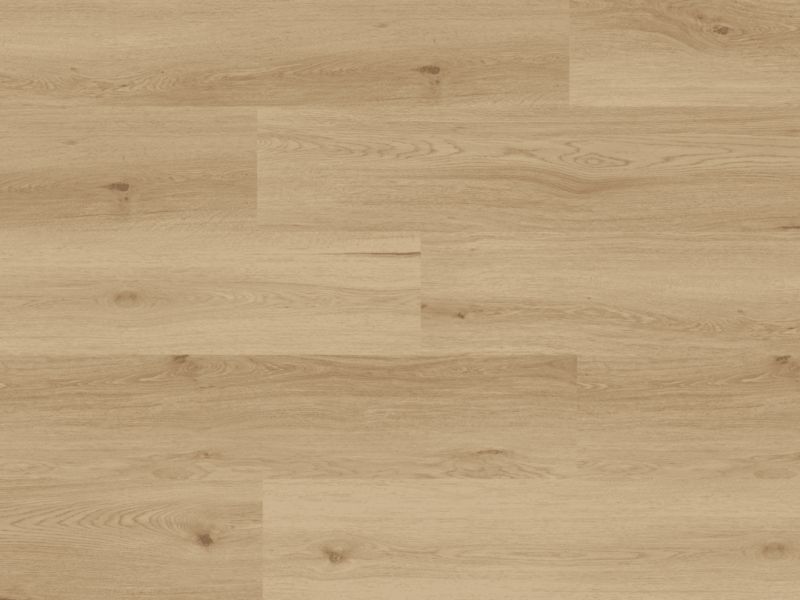 Floor Forever Dub Mont Blanc