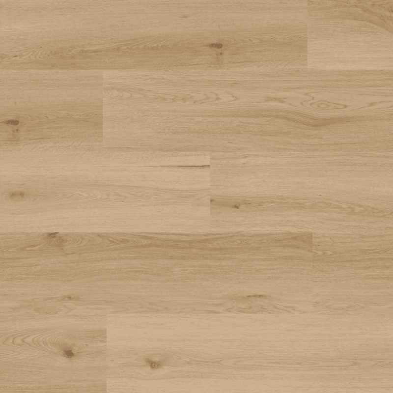 Floor Forever Dub Mont Blanc