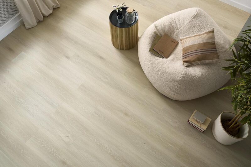 Floor Forever Dub Muntii Fagaras - Image 3