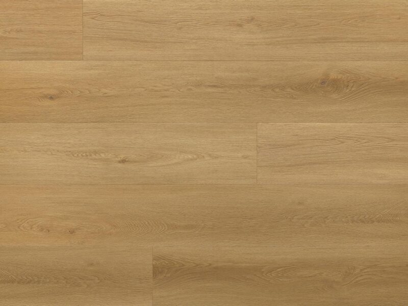 Floor Forever Dub Sinjal - Image 2
