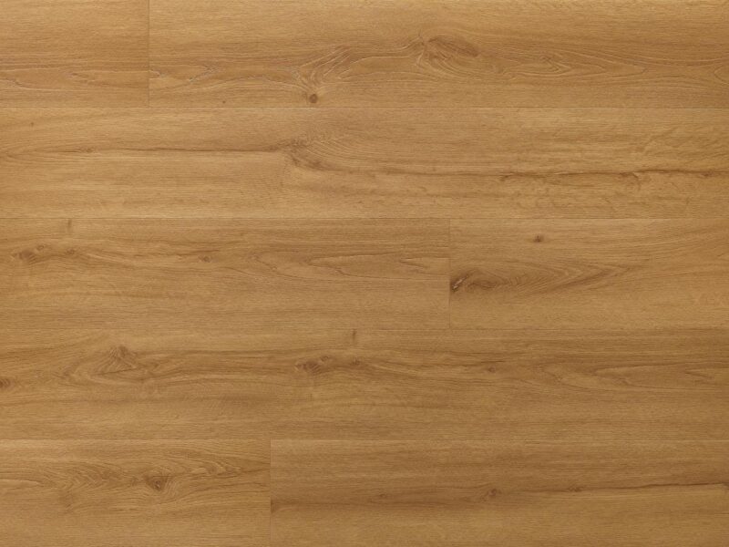 Floor Forever Dub Sněžka