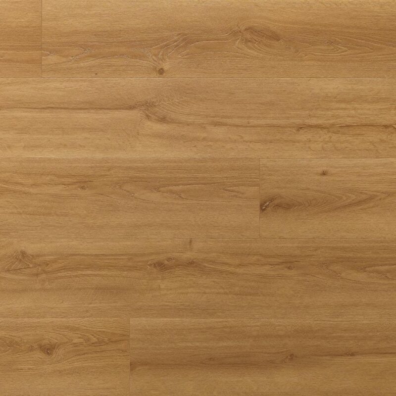 Floor Forever Dub Sněžka