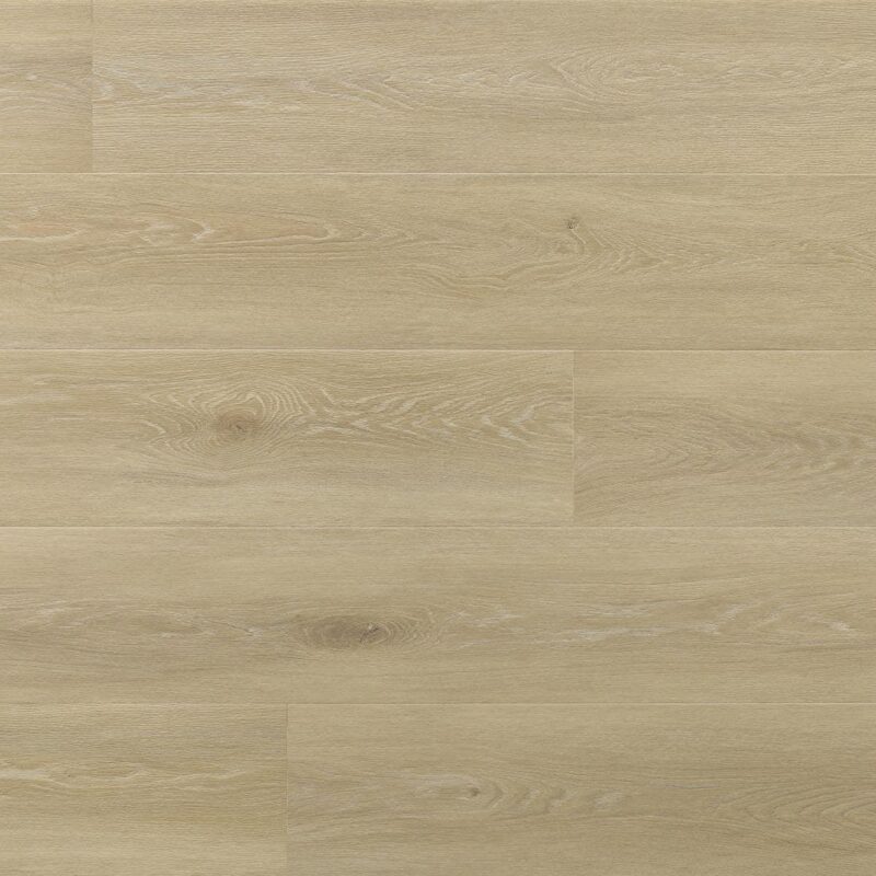 Floor Forever Dub Torre