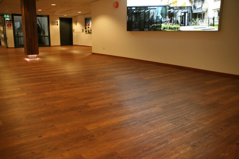 Tajima Oak wild hazel