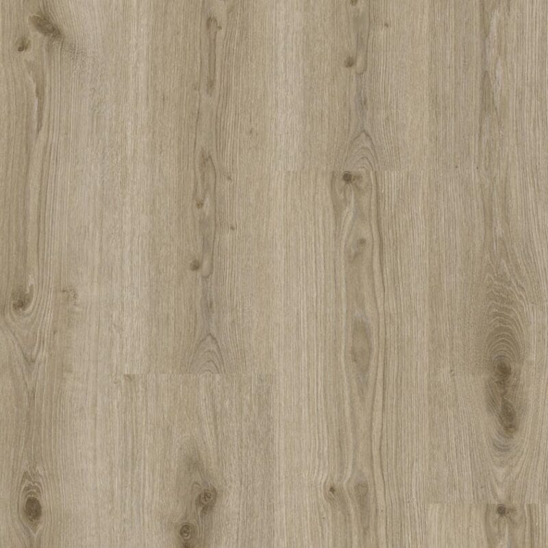 Tarkett Essence Rigid 55-Primary Oak-Lt Grey 120