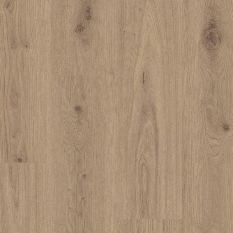 Tarkett Delicate Oak Chesnut