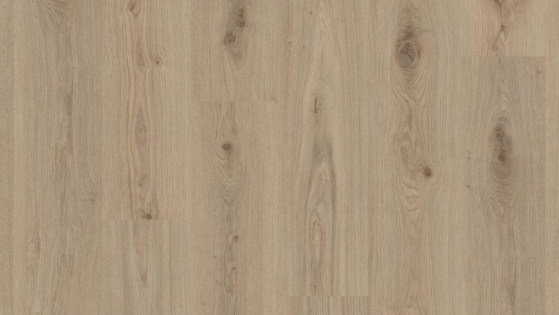 Tarkett Delicate Oak Natural