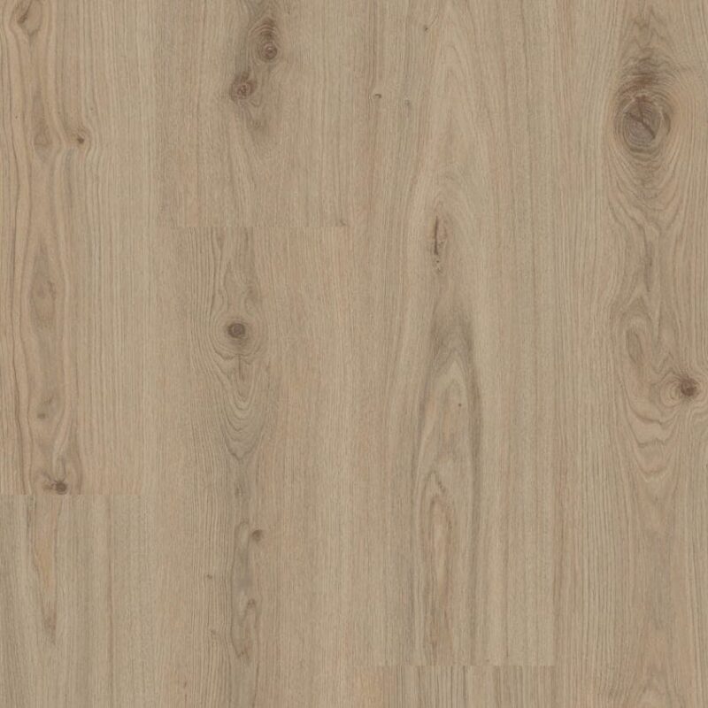 Tarkett Delicate Oak Natural