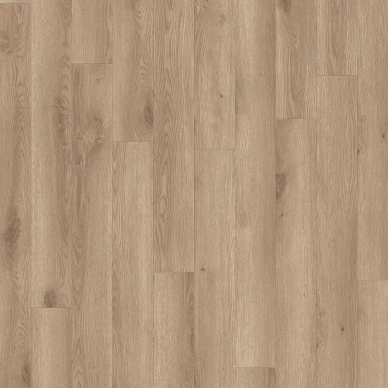 Tarkett Contemporary Oak Natural