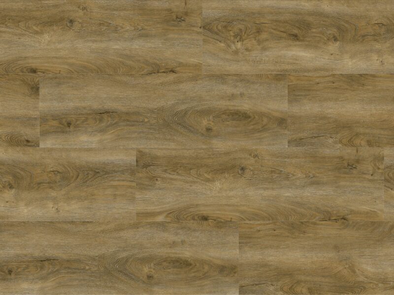 Tajima Medieval oak regiser embossed - Image 3