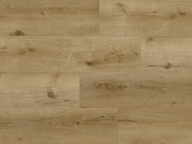 Tajima Royal oak regiser embossed - Image 3