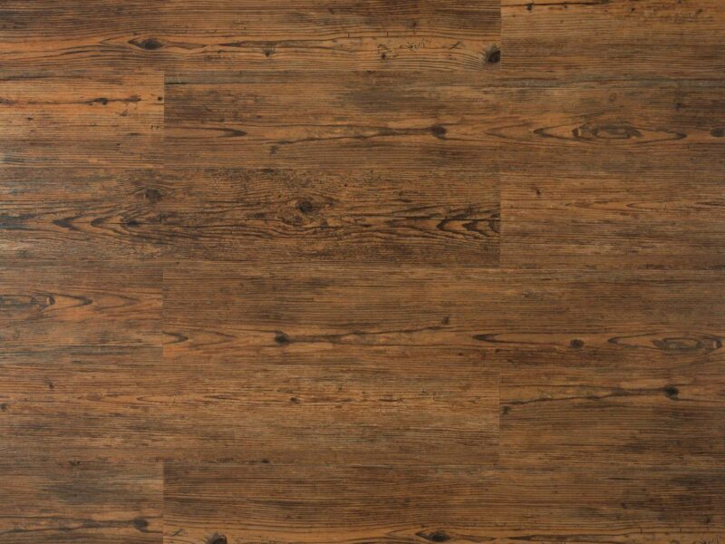 Tajima Oak wild hazel - Image 3