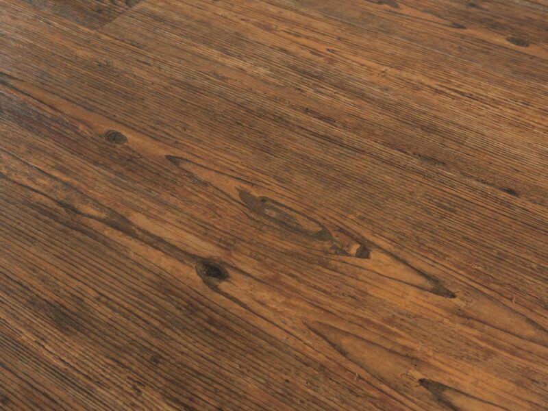 Tajima Oak wild hazel - Image 4