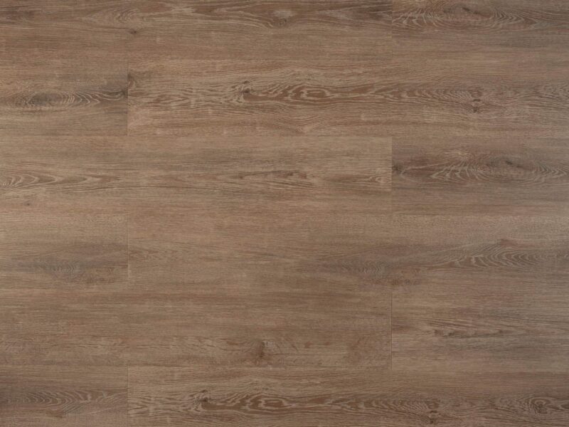 Tajima Notrhern oak
