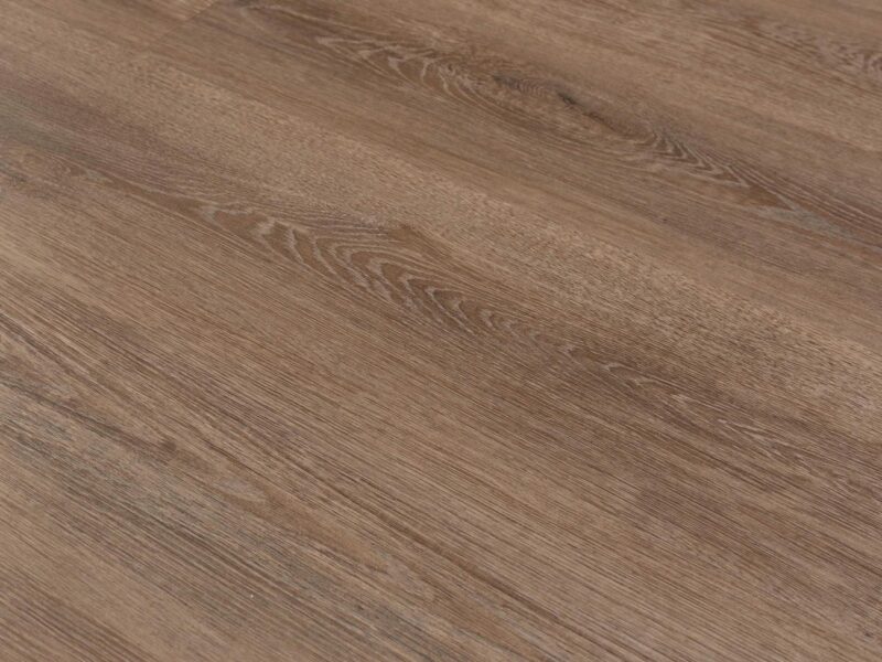 Tajima Notrhern oak - Image 2