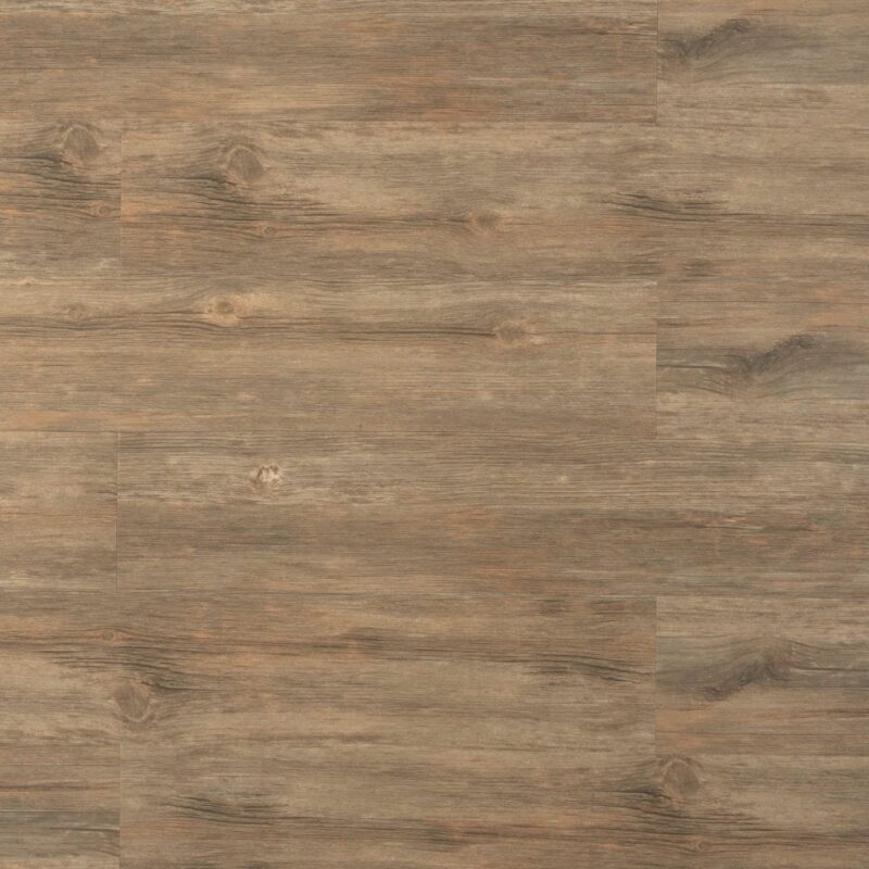 Tajima Saddle oak