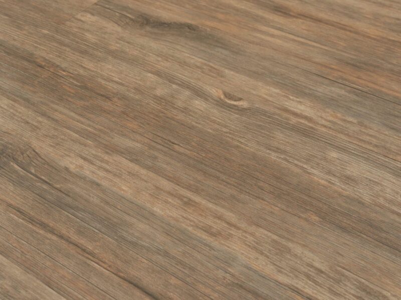 Tajima Saddle oak - Image 2