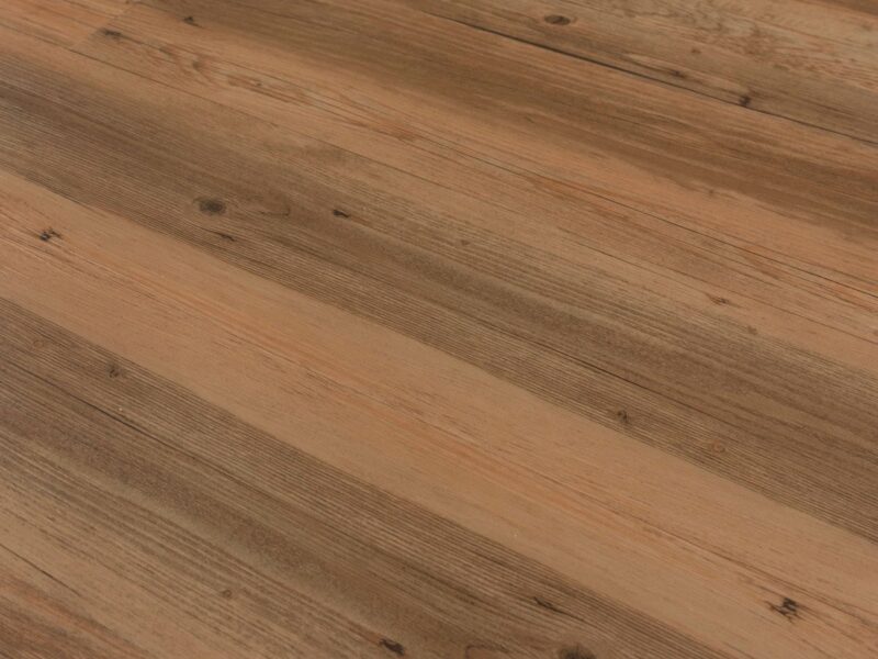 Tajima Brown sessile oak - Image 2
