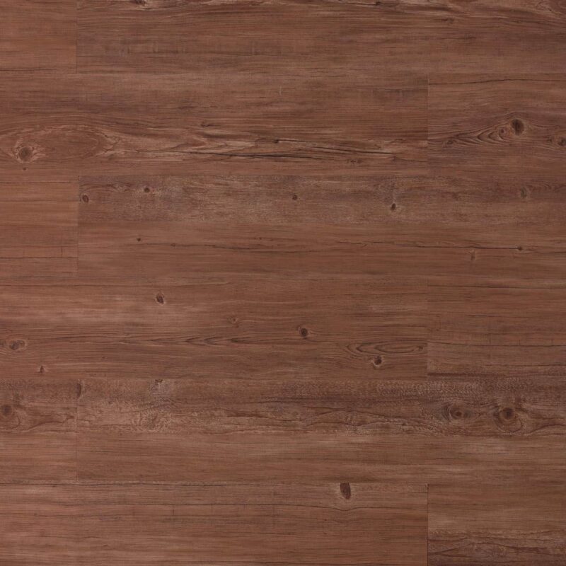 Tajima Soil oak