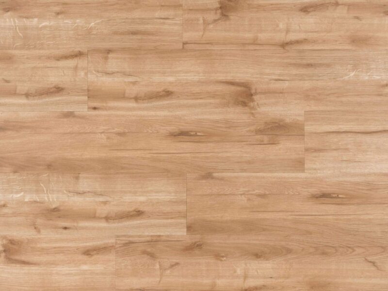 Tajima Canadian oak