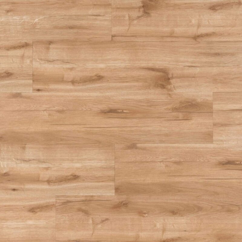 Tajima Canadian oak