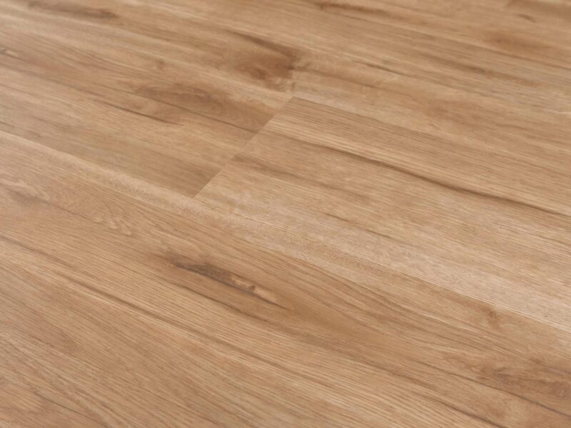Tajima Canadian oak - Image 2