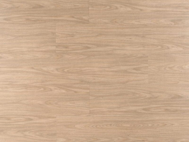 Tajima Grey - Image 6