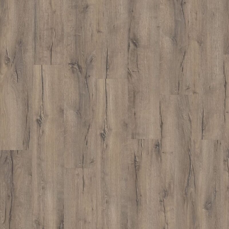 Moduleo Mountain Oak 56869