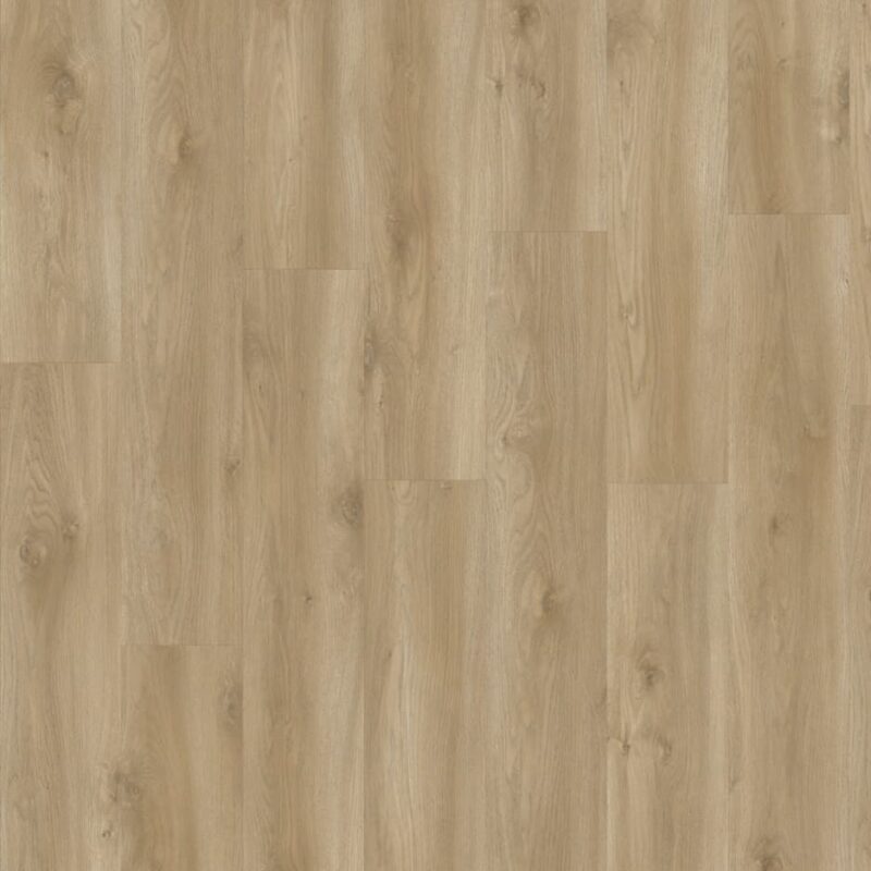 Moduleo Sierra Oak 58847