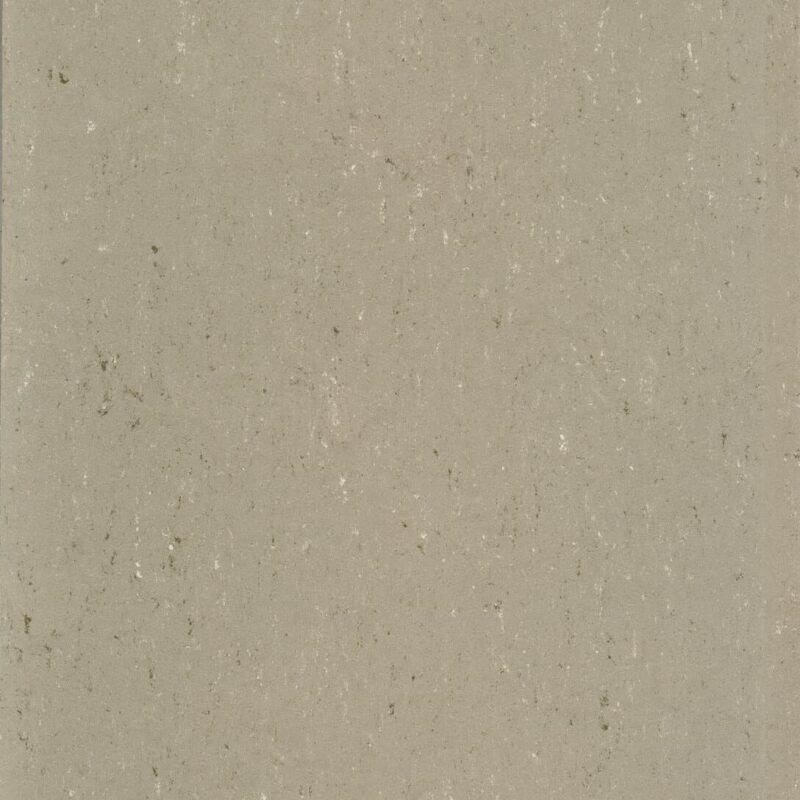 DLW Flooring 0043 Light Mud