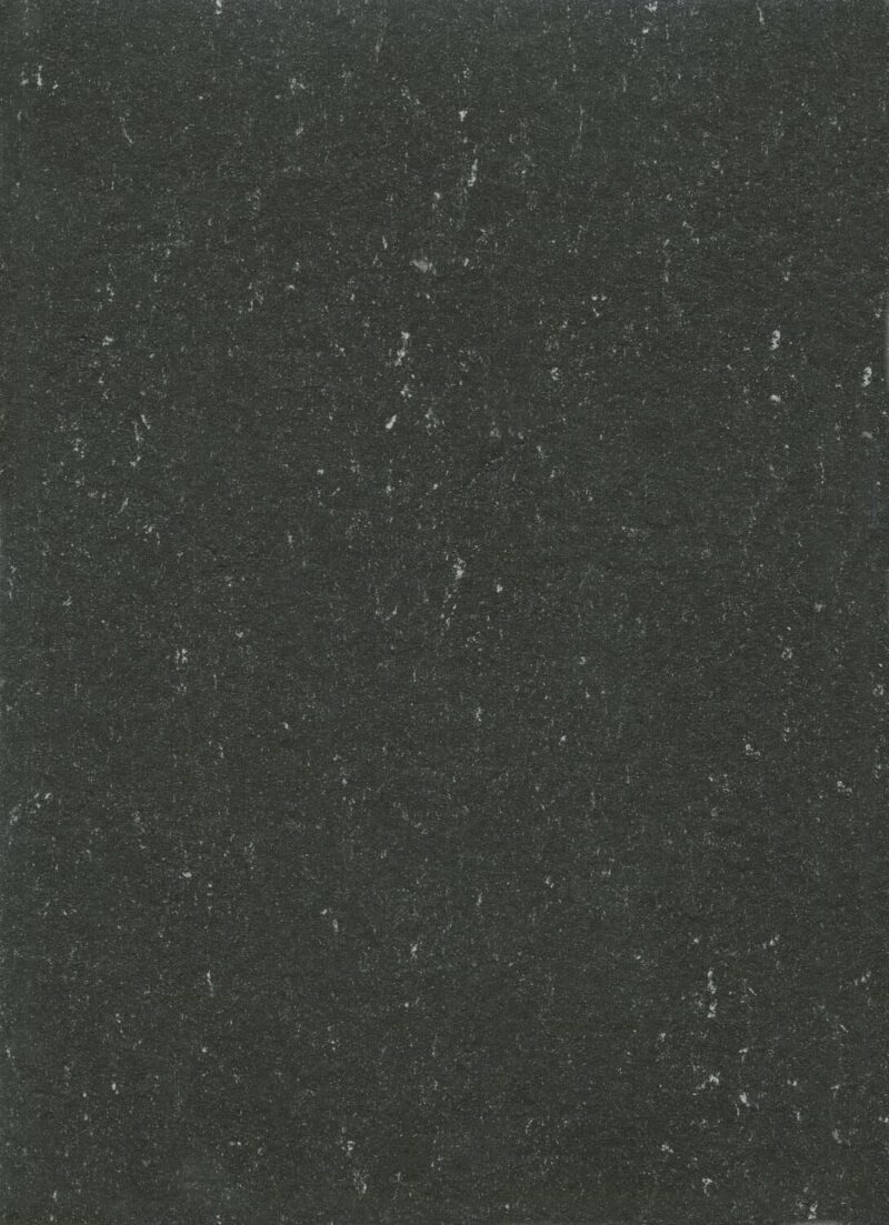 DLW Flooring 0081 Private Black