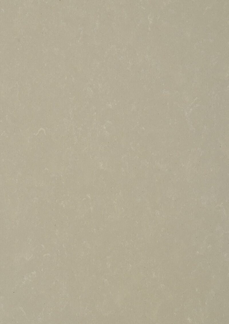DLW Flooring 0556 Mud Grey