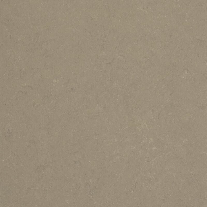 DLW Flooring 0558 Screed Grey