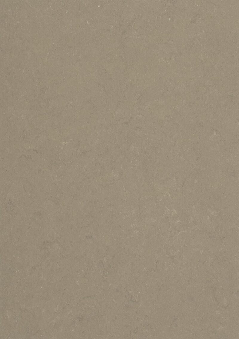 DLW Flooring 0558 Screed Grey