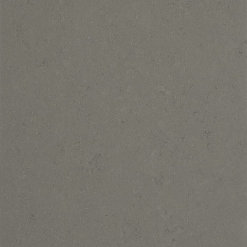 DLW Flooring 0560 Bold Grey