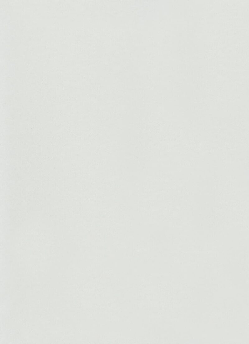DLW Flooring 0059 Frost Grey