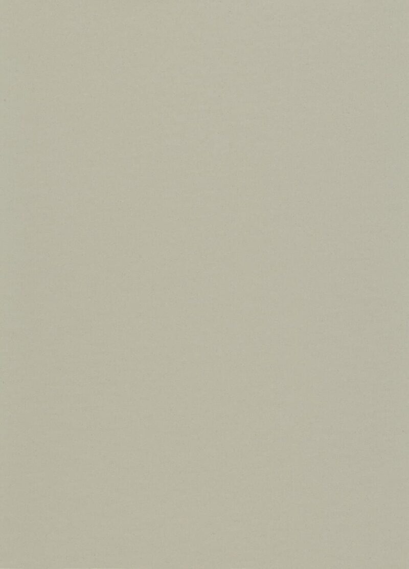 DLW Flooring 0085 Warm Concrete Grey