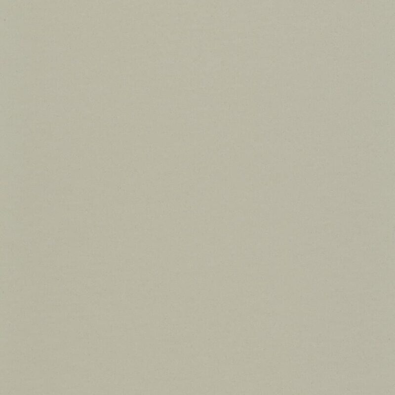 DLW Flooring 0085 Warm Concrete Grey