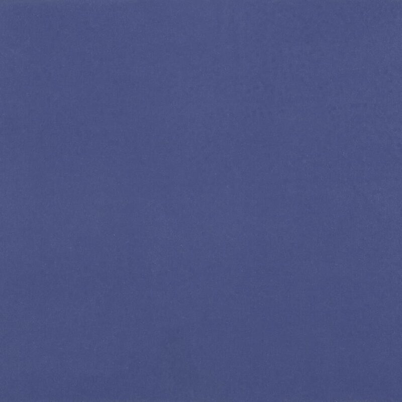 DLW Flooring 0100 Ocen Blue