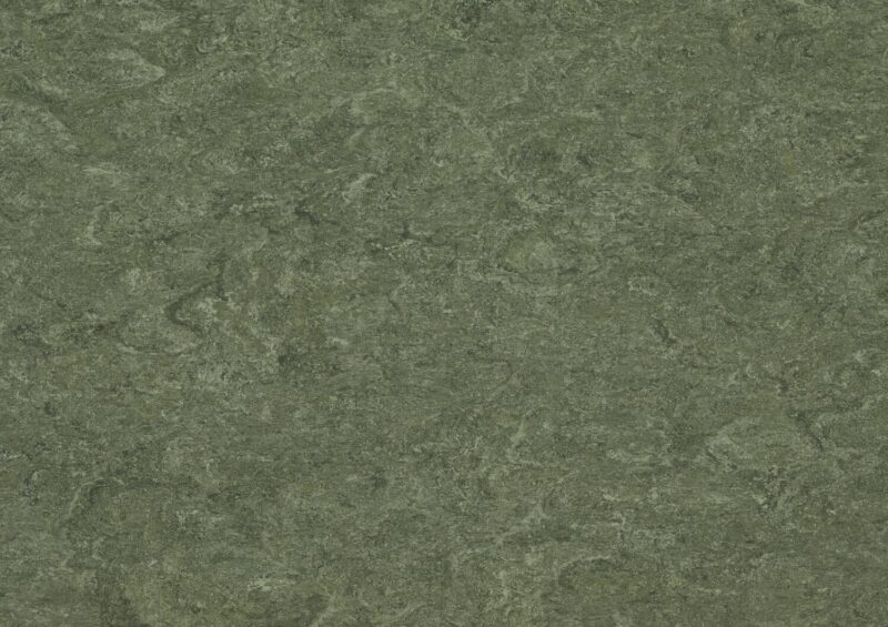 DLW Flooring 0083 Jungle