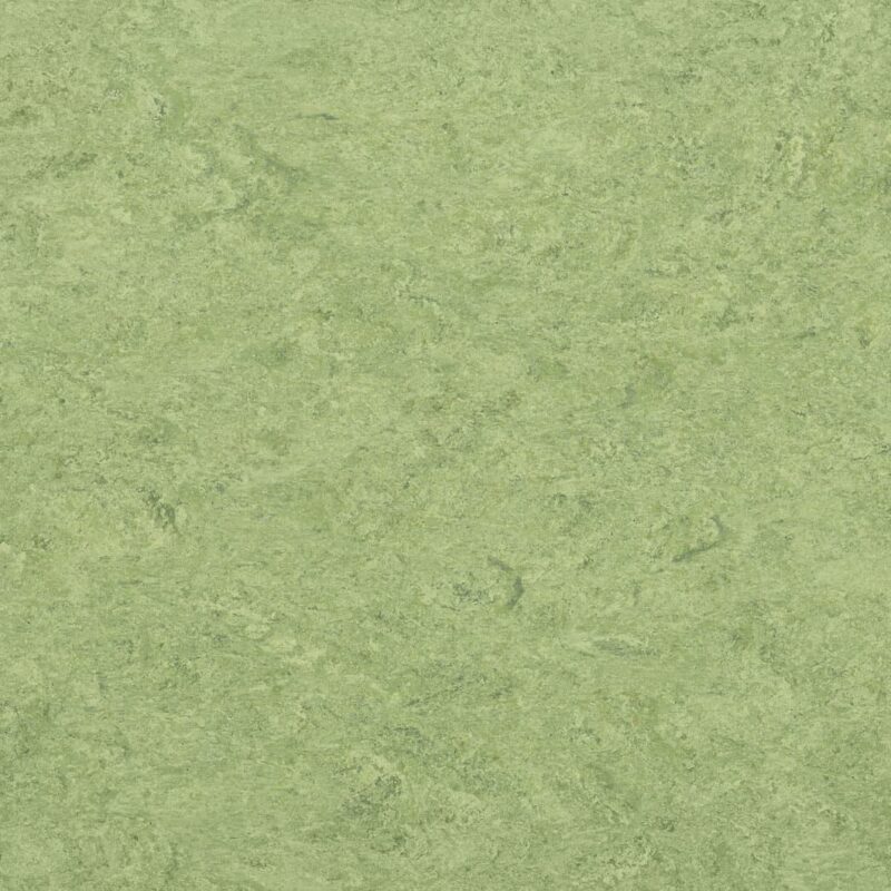 DLW Flooring 0100 Frog Green