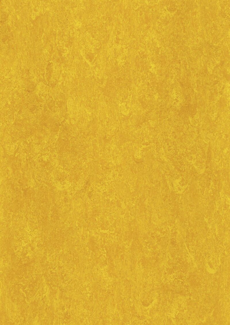 DLW Flooring 0172 Papaya Orange